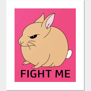 Fight Me Posters and Art